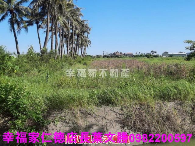台南農地-4