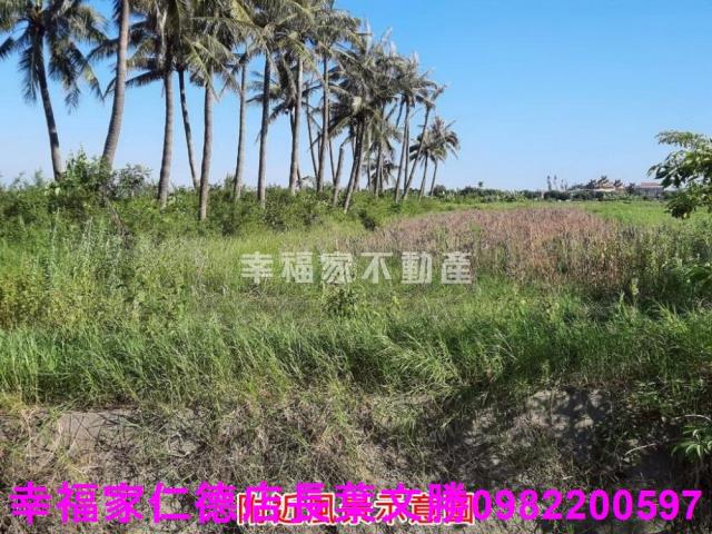 台南農地-8