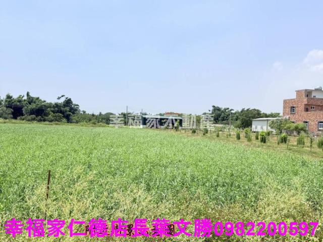 台南農地-2