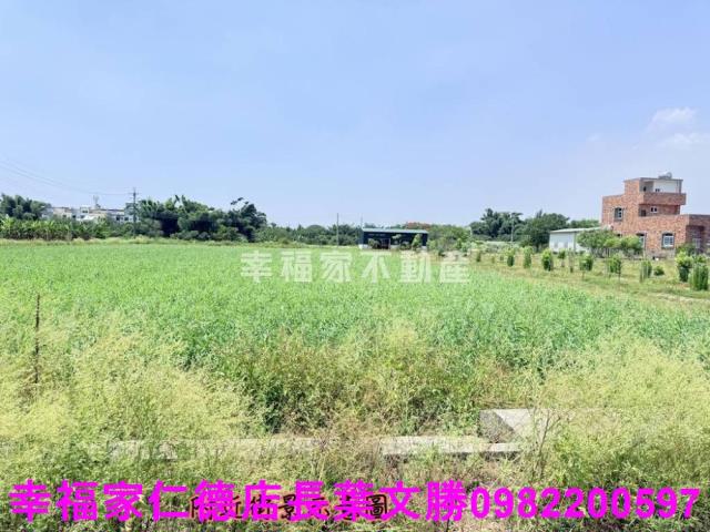 台南農地-4