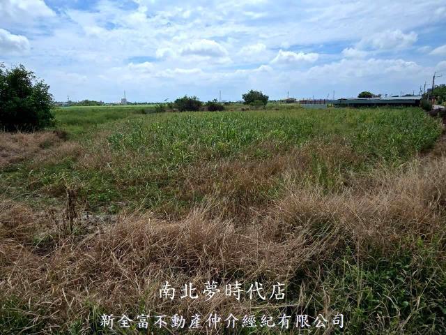 佳里農地-6