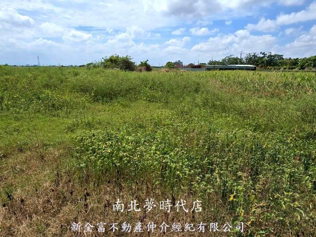 佳里農地-8