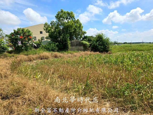 佳里農地-6