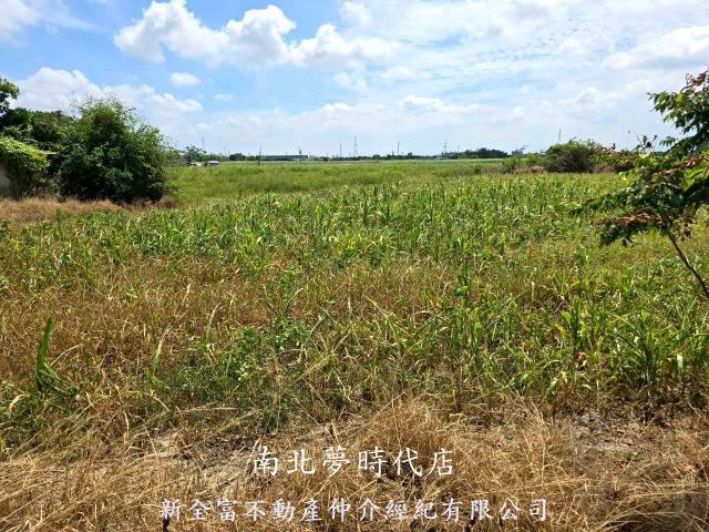 佳里農地-7