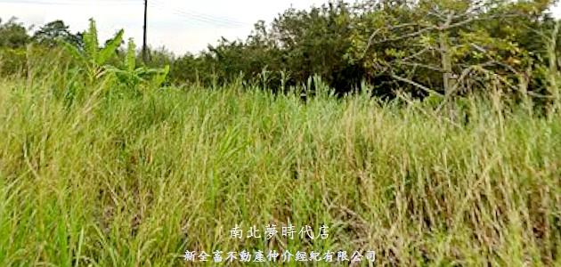 台南關廟農地-0
