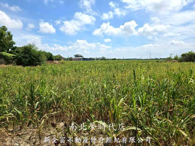 台南佳里農地-11