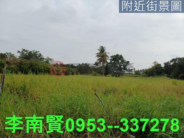 歸仁農地-3