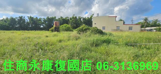 台南關廟農地-4