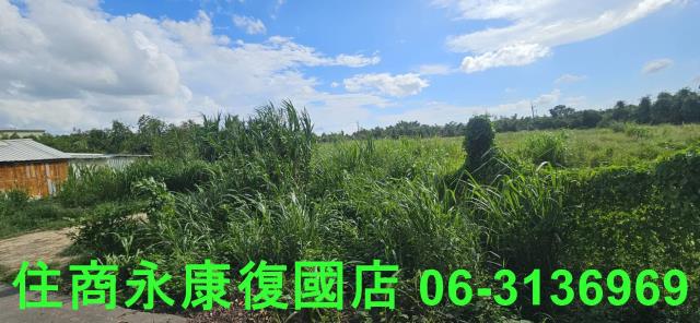 台南關廟農地-9