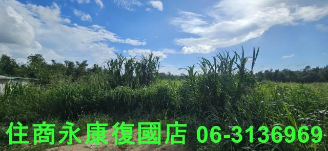 台南關廟農地-10