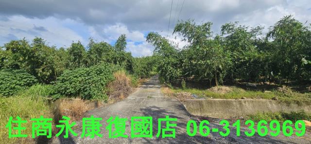 台南關廟農地-1