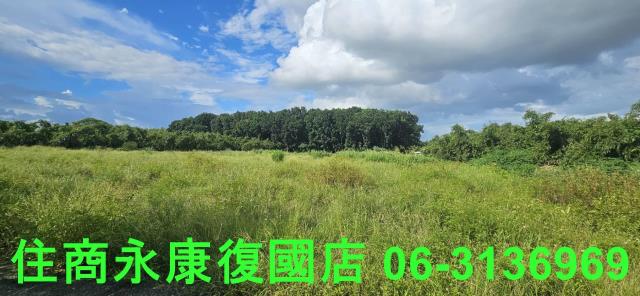 台南關廟農地-2