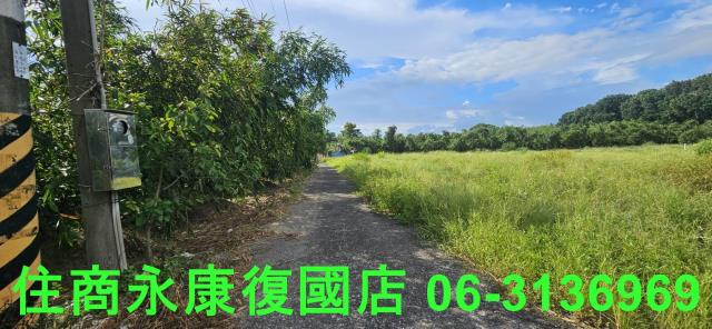 台南關廟農地-3