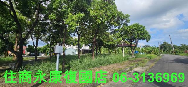 台南關廟農地-4