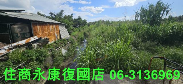 台南關廟農地-7