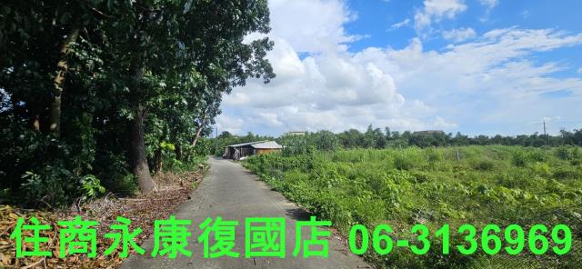 台南關廟農地-8