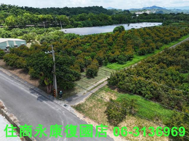 台南大內農地-5