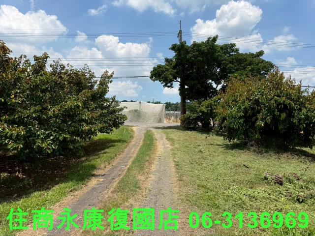 台南大內農地-1