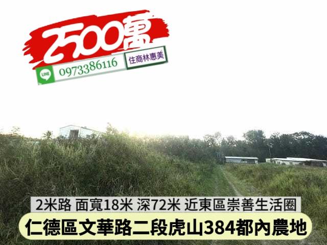 台南仁德農地-1