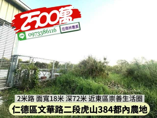 台南仁德農地-3