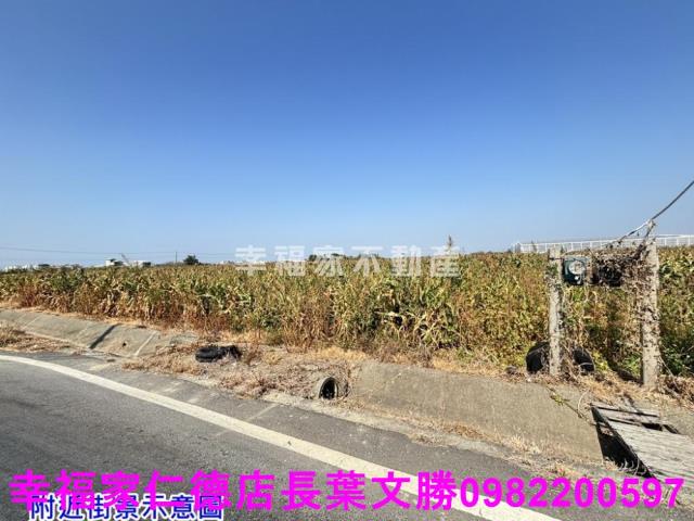 台南佳里農地-9