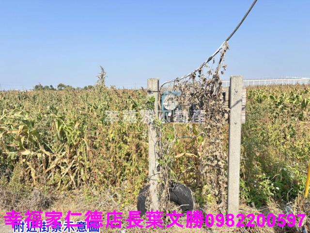 台南佳里農地-14
