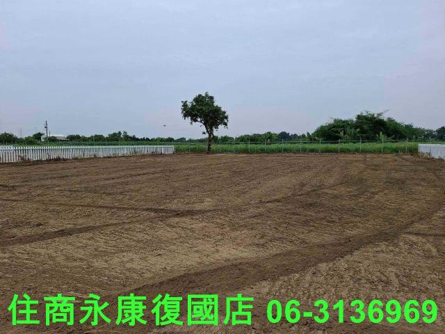 善化農地-0