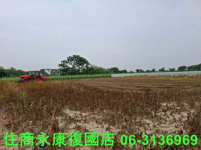 善化農地-3