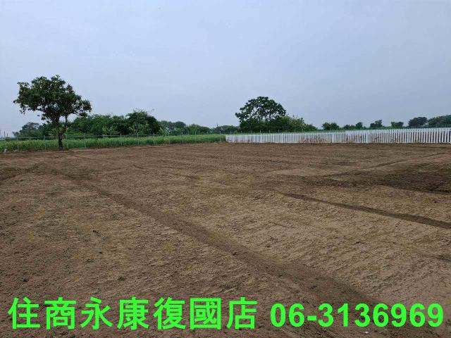 善化農地-1