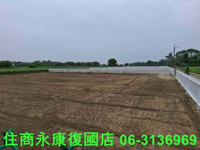 善化農地-9