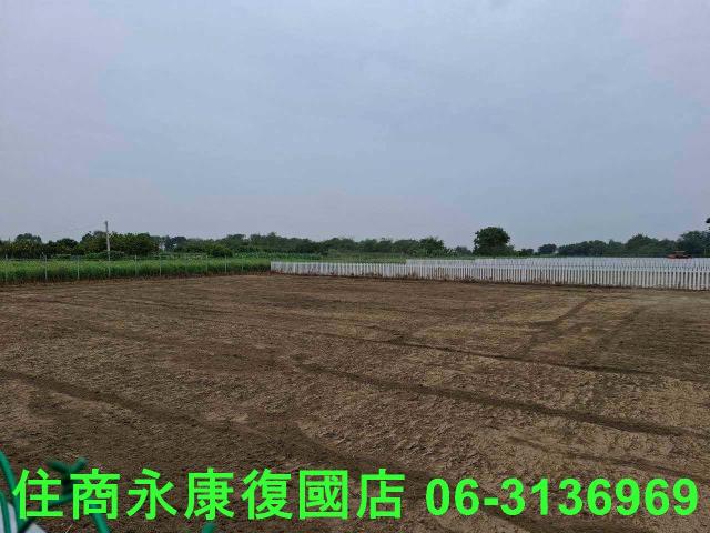 善化農地-10