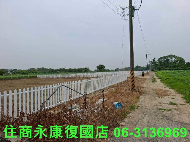 善化農地-7