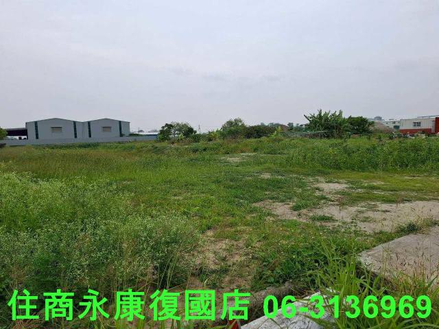 西港農地-7