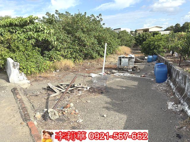 善化農地-5