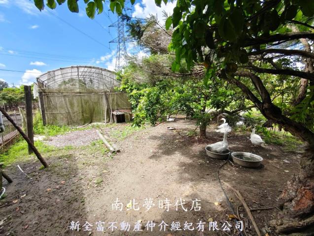 左鎮農地-10