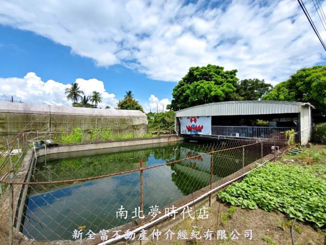 左鎮農地-11