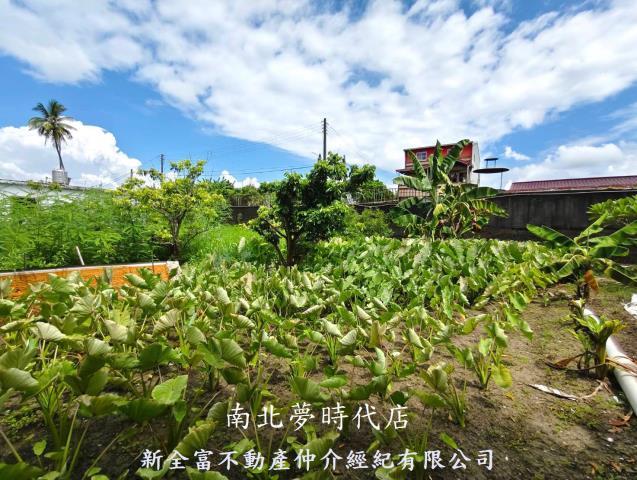 左鎮農地-5