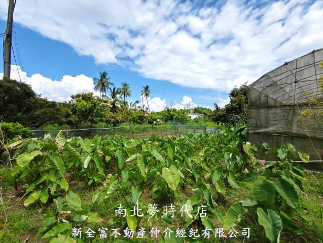 左鎮農地-6