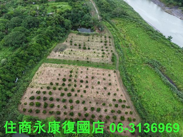 台南大內農地-1