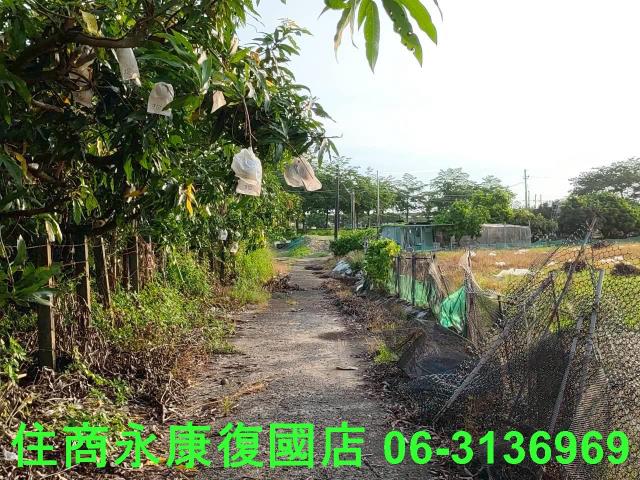 台南新化農地-11