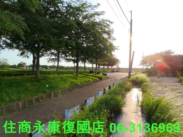台南新化農地-14