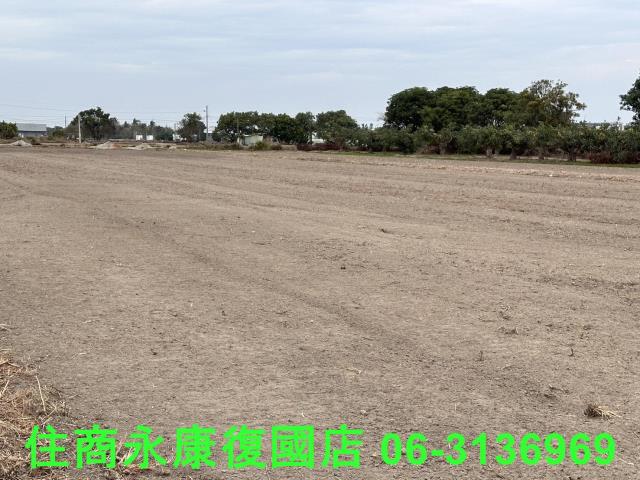 台南歸仁農地-10