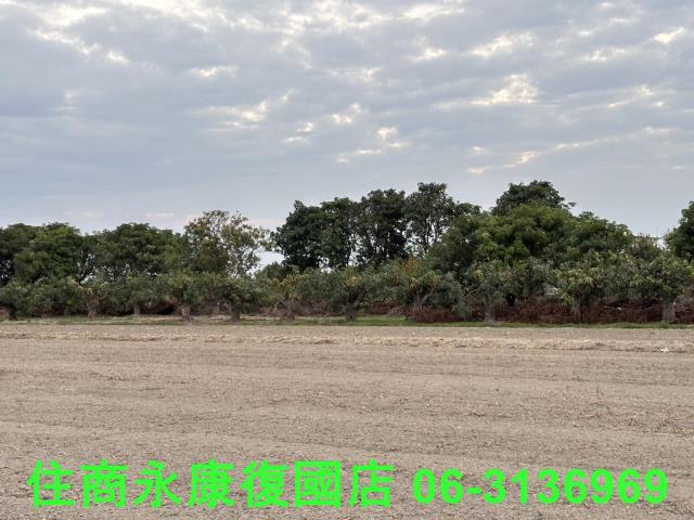 台南歸仁農地-7