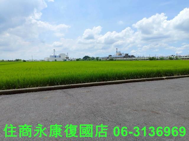 台南六甲農地-10