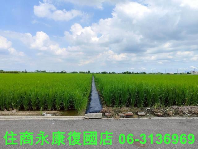 台南六甲農地-12