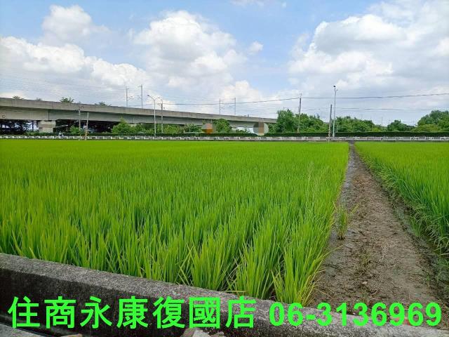 台南六甲農地-0