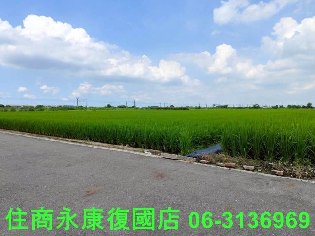 台南六甲農地-8
