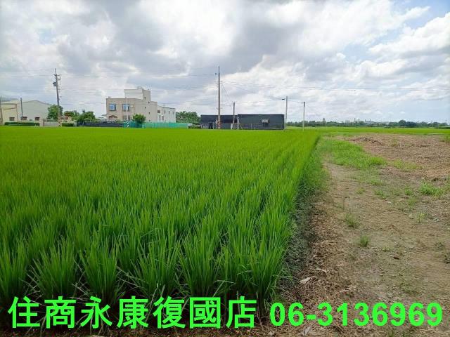 台南六甲農地-4