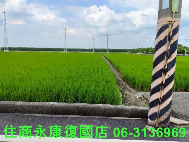 台南六甲農地-7