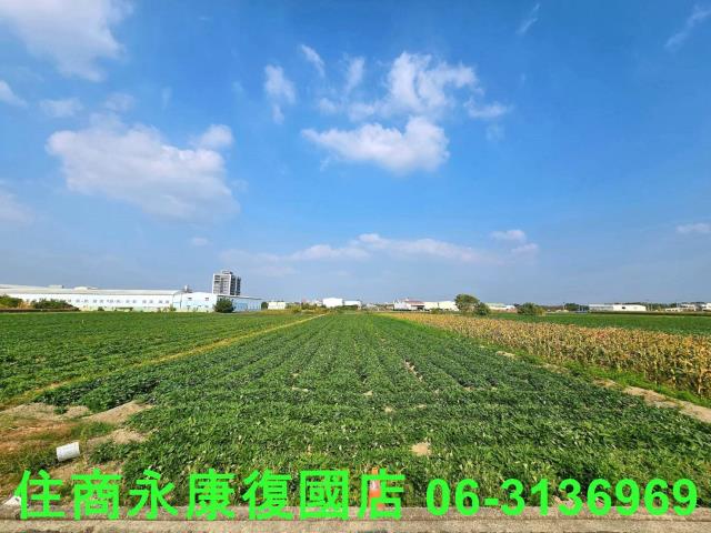 台南新化農地-0